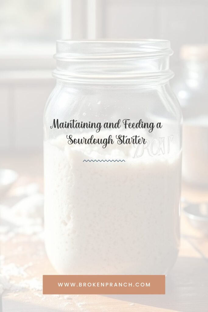 caring for a sourdough starter pin