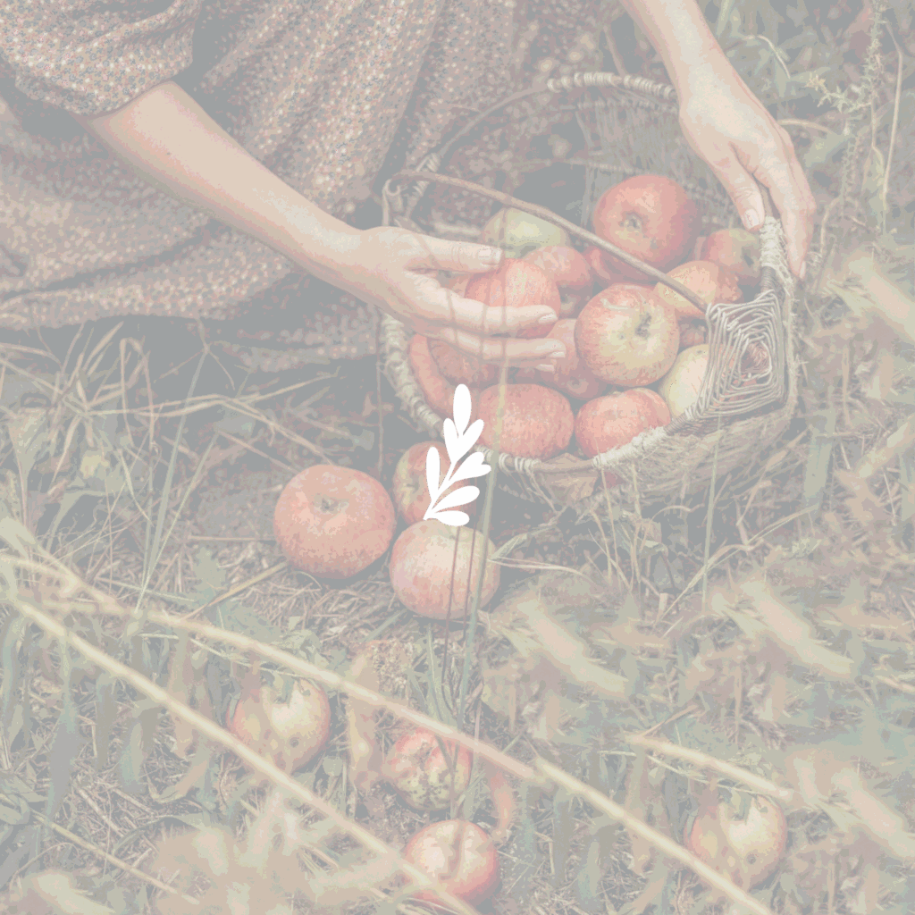 Does This Homesteading Thing Really Matter?