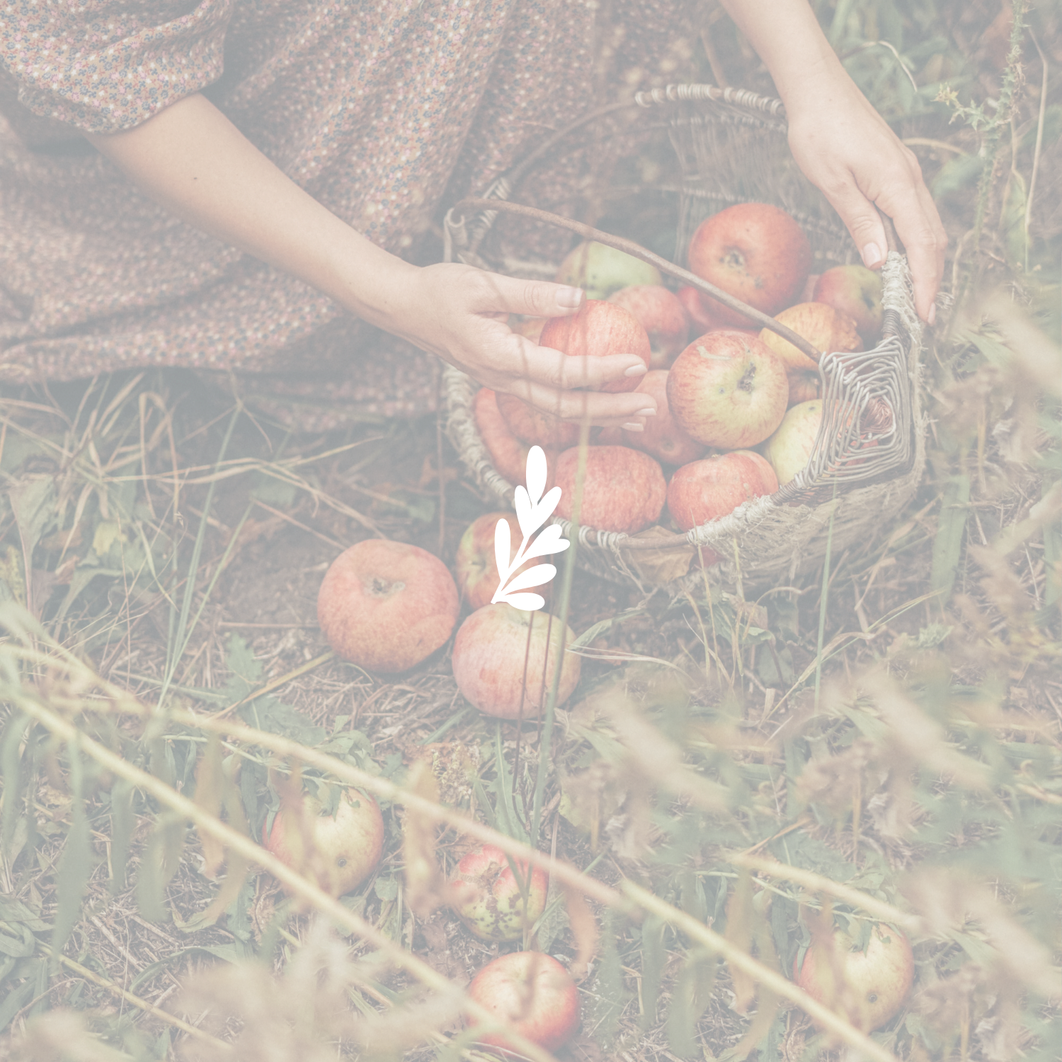 Does This Homesteading Thing Really Matter?