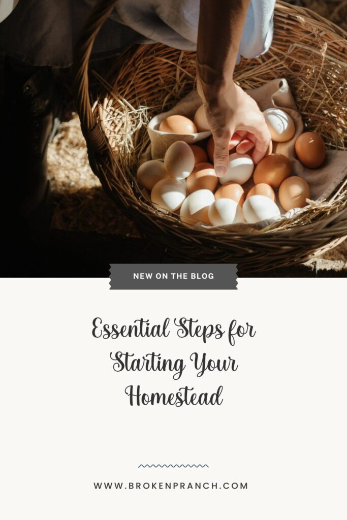 Essential Steps for Starting Your Homestead
