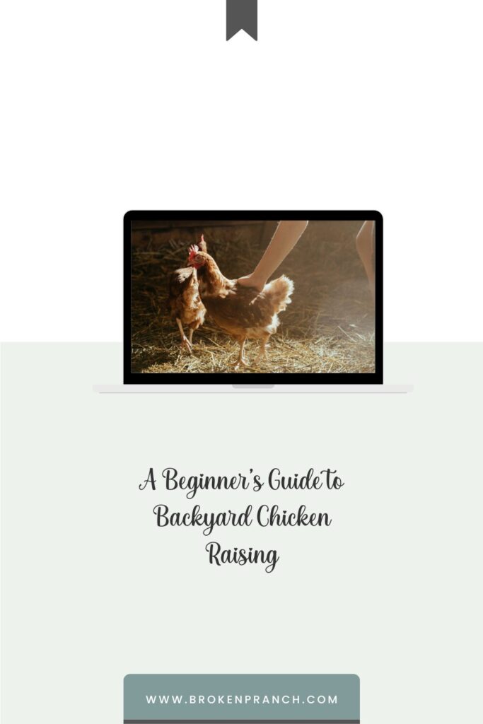 A Beginner’s Guide to Backyard Chicken Raising
