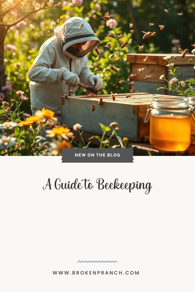 A Guide to Starting Beekeeping