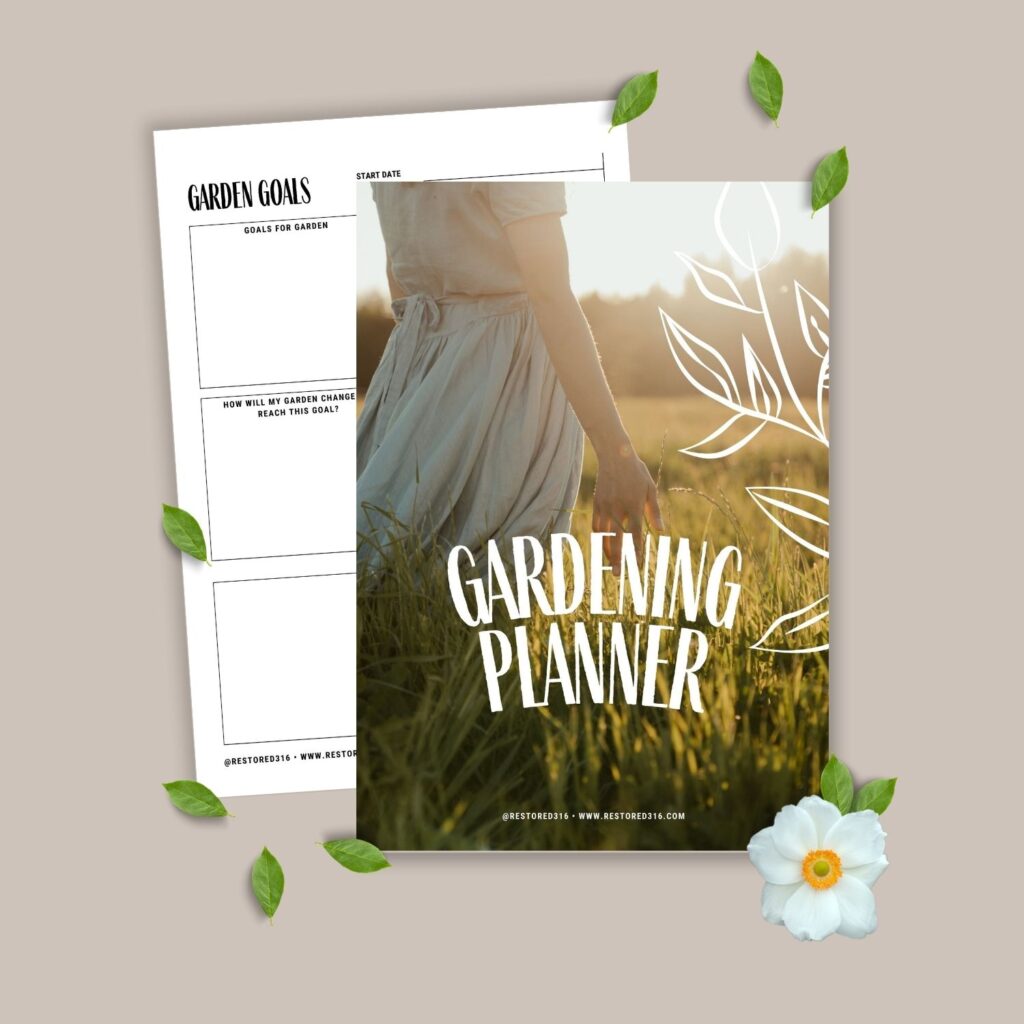 mock up of the cover and pages of the clean living guide