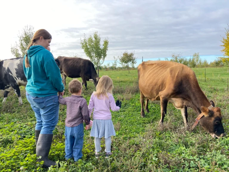 homesteading lifestyle