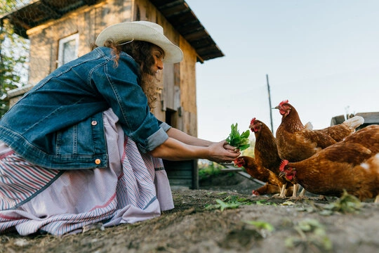 Tired farm woman with chicken