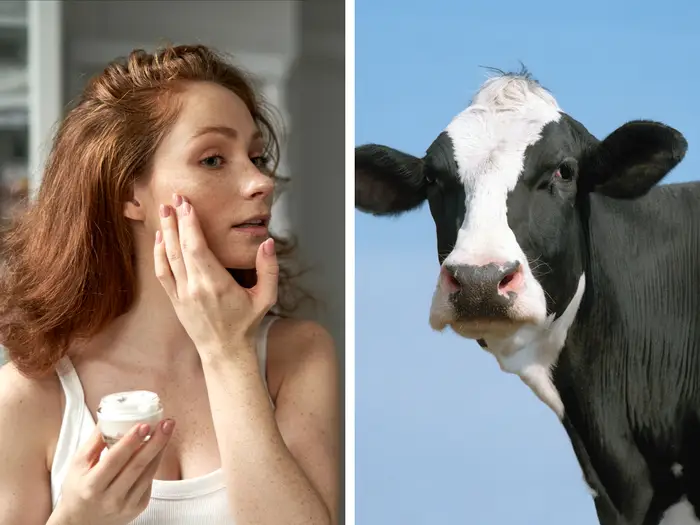 beef tallow