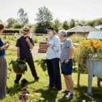 Group working on homestead project