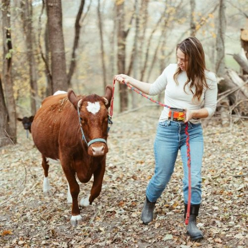 Simple Farmhouse Life by Lisa Bass