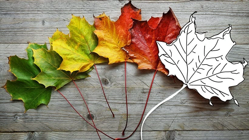 Seasonal living