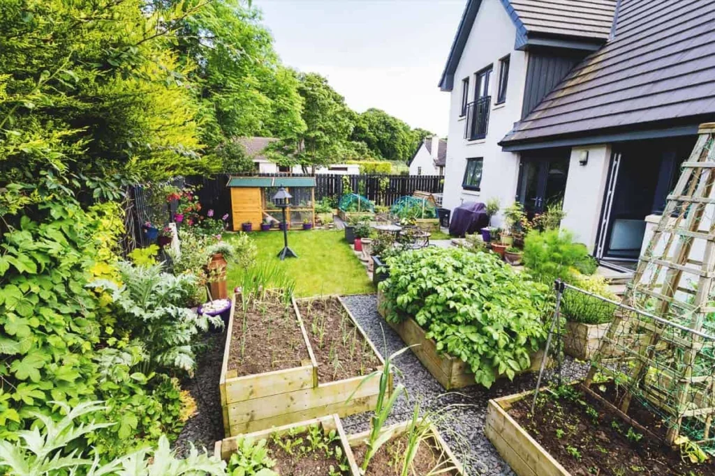 Rural homesteads