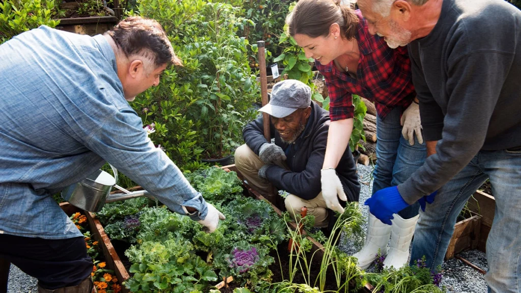The homesteading community