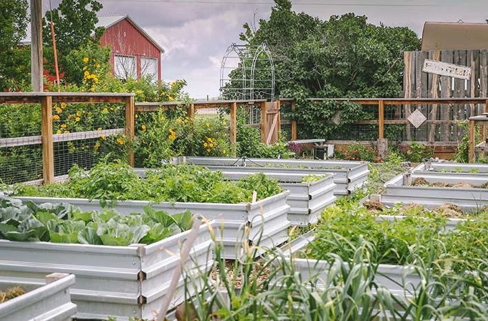 Modern homesteading stereotypes