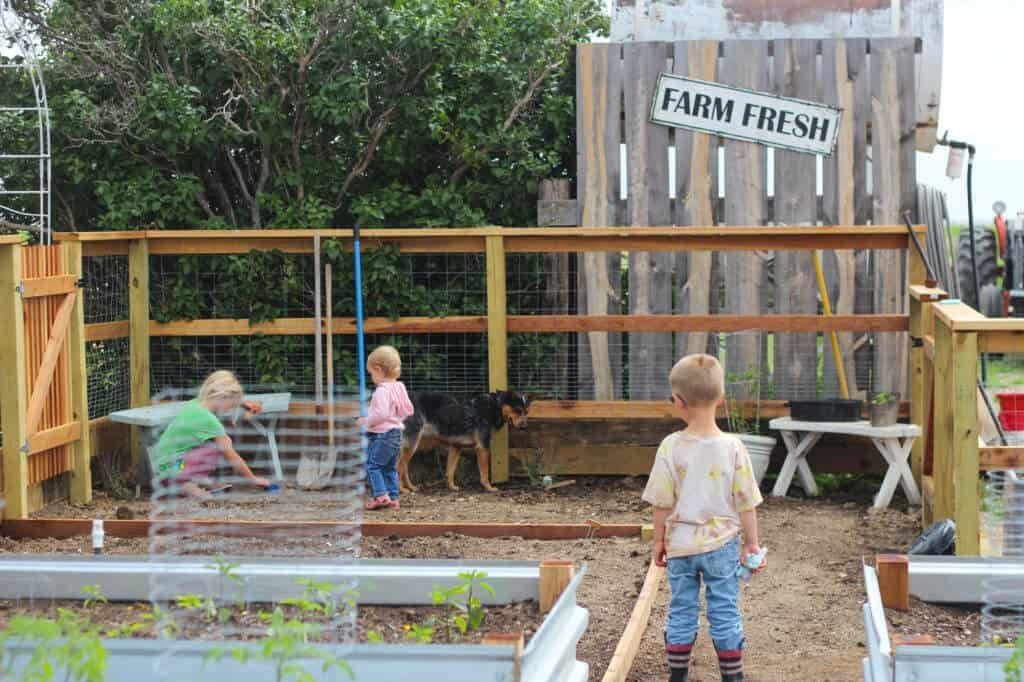 7 Lessons Homestead Kids Learn
