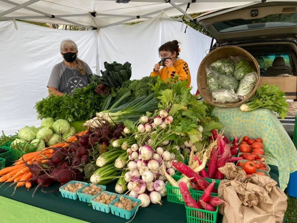 What Type of Roadside Stand Will You Start?