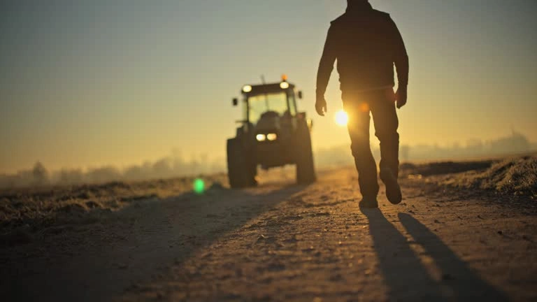 Country road at sunrise with single figure walking