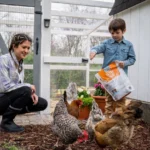 Beginning homesteaders with chickens and raised beds