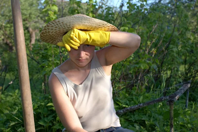 Is Homesteading Really the "Simple Life"?
