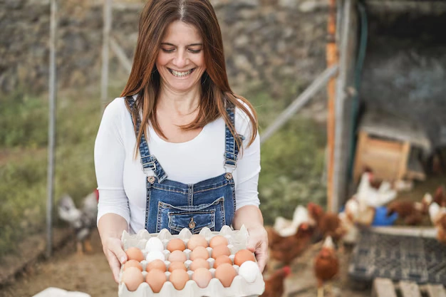 female farmer basket of eggs golden hour